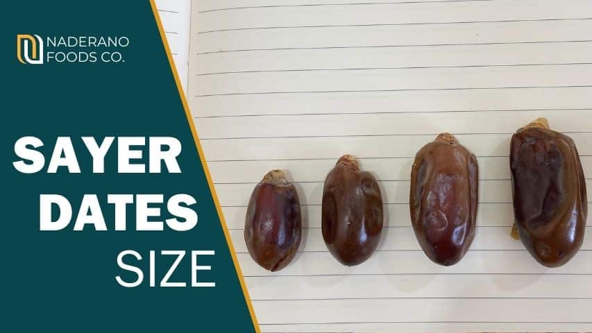 Sayer Dates size