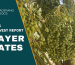 sayer date 2025 harvest update