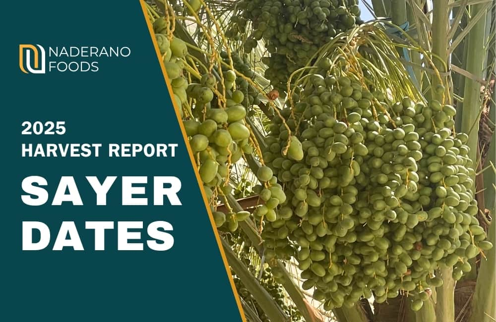 sayer date 2025 harvest update